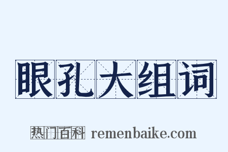 眼孔大组词是什么意思的图片